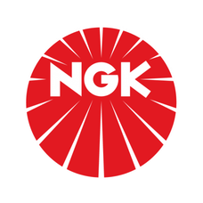 NGK Spark Plugs